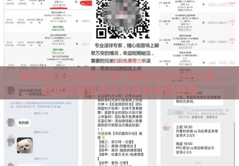 体育投注平台那个好-体育投注平台之选,透视高质量服务平台的关键要素 体育投注平台那个好-体育投注平台之选,透视高质量服务平台的关键要素