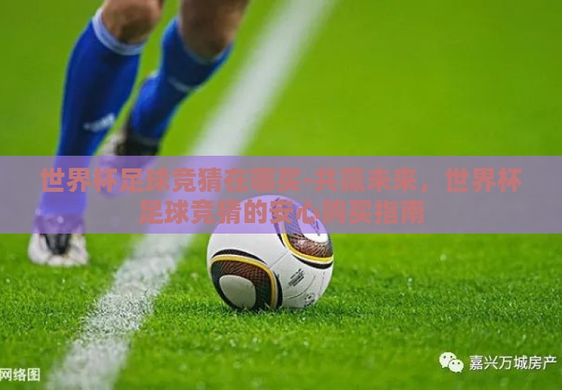 世界杯足球竞猜在哪买-共赢未来，世界杯足球竞猜的安心购买指南