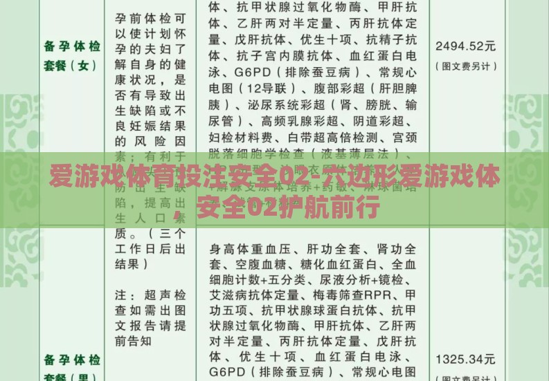 爱游戏体育投注安全02-六边形爱游戏体,安全02护航前行 爱游戏体育投注安全02-六边形爱游戏体,安全02护航前行