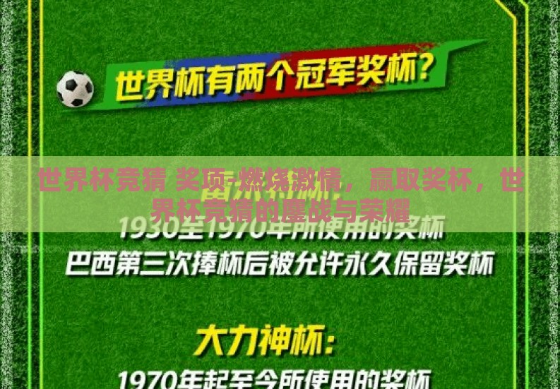 世界杯竞猜 奖项-燃烧激情,赢取奖杯,世界杯竞猜的鏖战与荣耀 世界杯竞猜 奖项-燃烧激情,赢取奖杯,世界杯竞猜的鏖战与荣耀