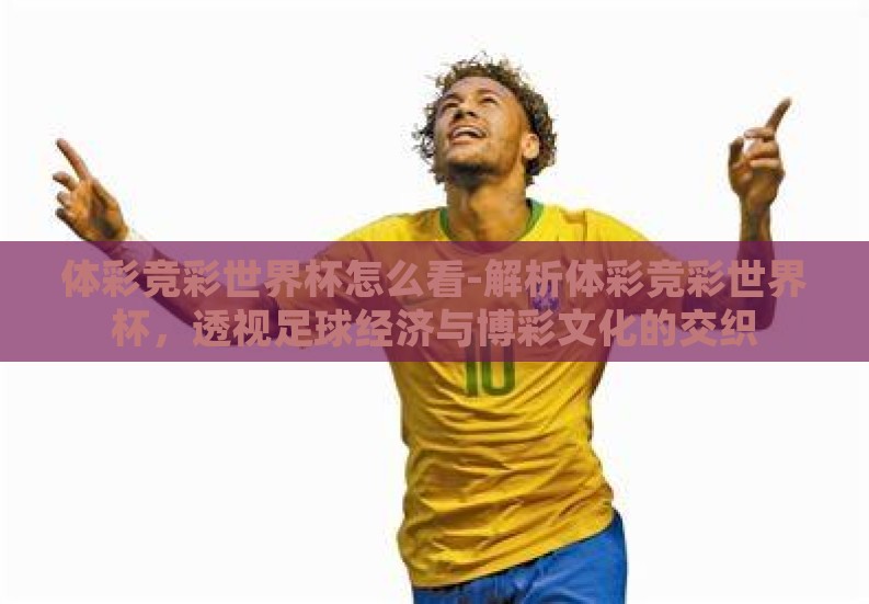 体彩竞彩世界杯怎么看-解析体彩竞彩世界杯，透视足球经济与博彩文化的交织