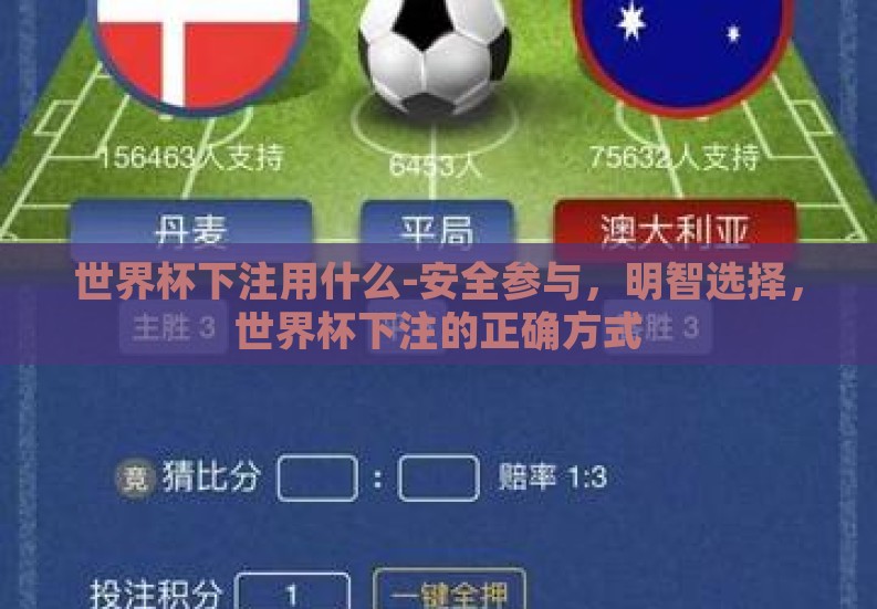 世界杯下注用什么-安全参与,明智选择,世界杯下注的正确方式 世界杯下注用什么-安全参与,明智选择,世界杯下注的正确方式