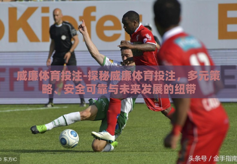 威廉体育投注-探秘威廉体育投注,多元策略、安全可靠与未来发展的纽带 威廉体育投注-探秘威廉体育投注,多元策略、安全可靠与未来发展的纽带