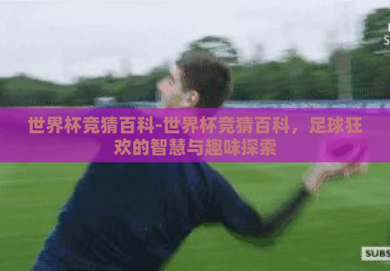 世界杯竞猜百科-世界杯竞猜百科，足球狂欢的智慧与趣味探索