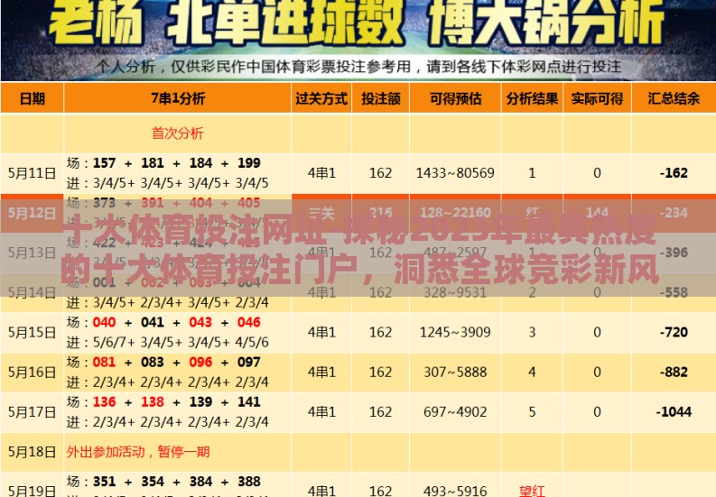 十大体育投注网址-探秘2023年最具热度的十大体育投注门户，洞悉全球竞彩新风尚