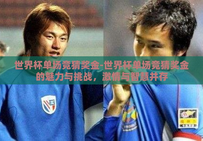 世界杯单场竞猜奖金-世界杯单场竞猜奖金的魅力与挑战,激情与智慧并存 世界杯单场竞猜奖金-世界杯单场竞猜奖金的魅力与挑战,激情与智慧并存