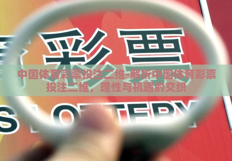 中国体育彩票投注二维-解析中国体育彩票投注二维,理性与机遇的交织 中国体育彩票投注二维-解析中国体育彩票投注二维,理性与机遇的交织