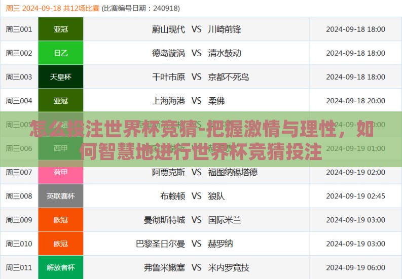 怎么投注世界杯竞猜-把握激情与理性，如何智慧地进行世界杯竞猜投注