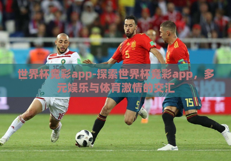 世界杯竞彩app-探索世界杯竞彩app，多元娱乐与体育激情的交汇