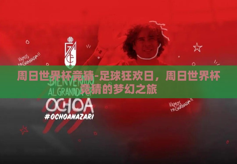 周日世界杯竞猜-足球狂欢日，周日世界杯竞猜的梦幻之旅