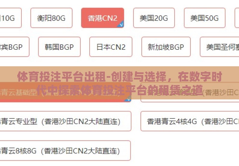 体育投注平台出租-创建与选择，在数字时代中探索体育投注平台的租赁之道