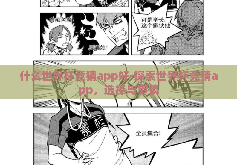 什么世界杯竞猜app好-探索世界杯竞猜app，选择与审慎
