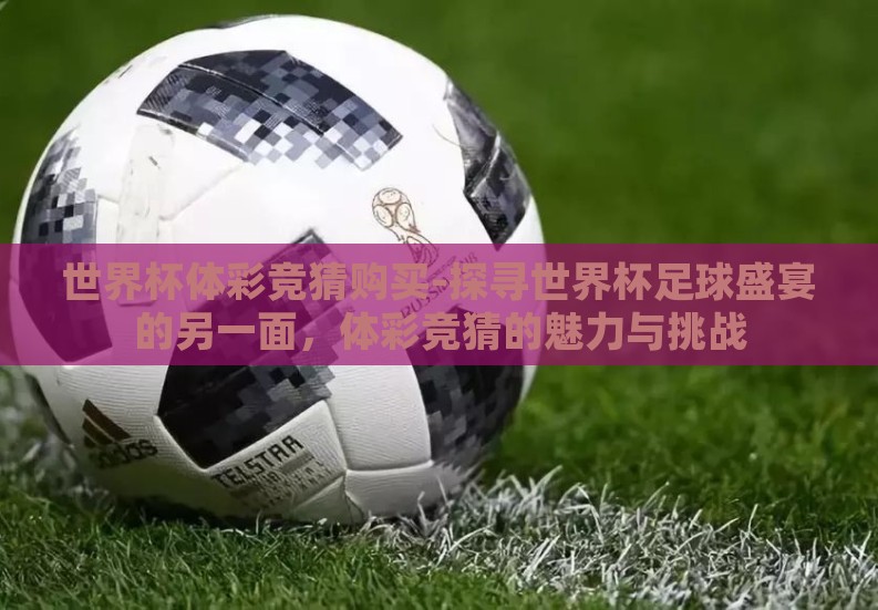 世界杯体彩竞猜购买-探寻世界杯足球盛宴的另一面，体彩竞猜的魅力与挑战