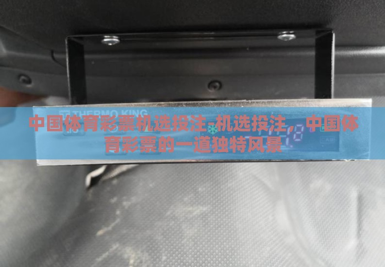 中国体育彩票机选投注-机选投注,中国体育彩票的一道独特风景 中国体育彩票机选投注-机选投注,中国体育彩票的一道独特风景
