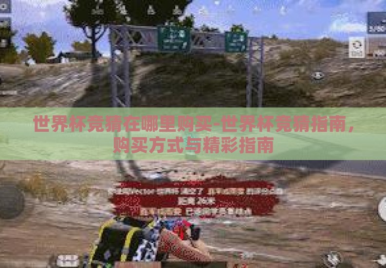 世界杯竞猜在哪里购买-世界杯竞猜指南，购买方式与精彩指南