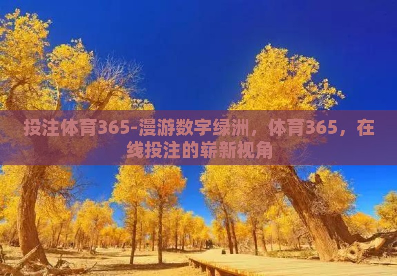投注体育365-漫游数字绿洲，体育365，在线投注的崭新视角