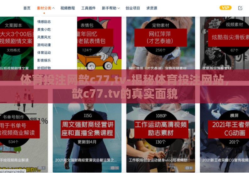 体育投注网歆c77,tv-揭秘体育投注网站，歆c77.tv的真实面貌