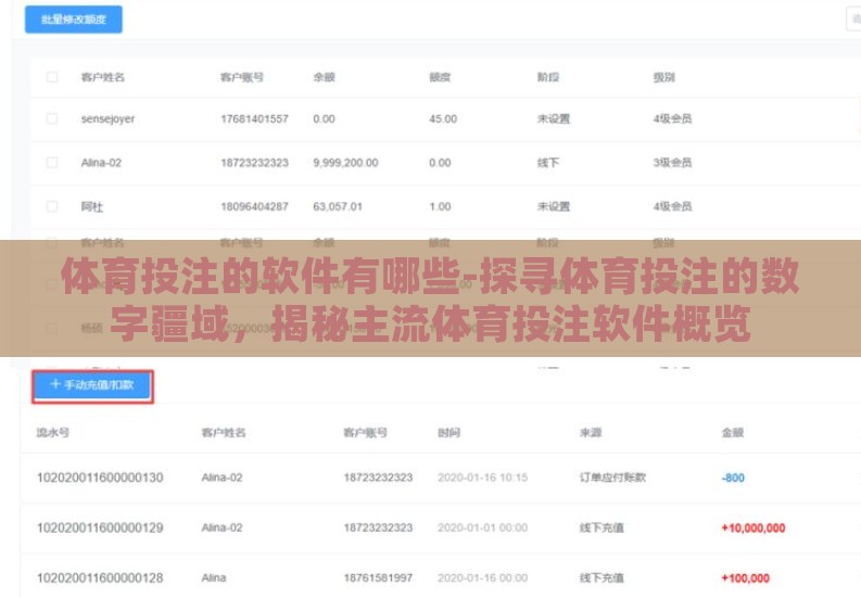 体育投注的软件有哪些-探寻体育投注的数字疆域,揭秘主流体育投注软件概览 体育投注的软件有哪些-探寻体育投注的数字疆域,揭秘主流体育投注软件概览