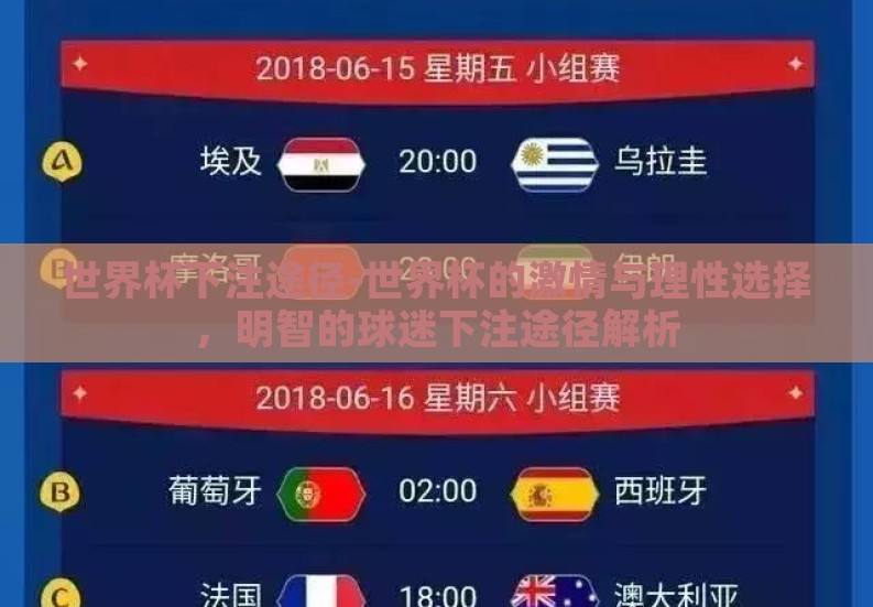 世界杯下注途径-世界杯的激情与理性选择,明智的球迷下注途径解析 世界杯下注途径-世界杯的激情与理性选择,明智的球迷下注途径解析