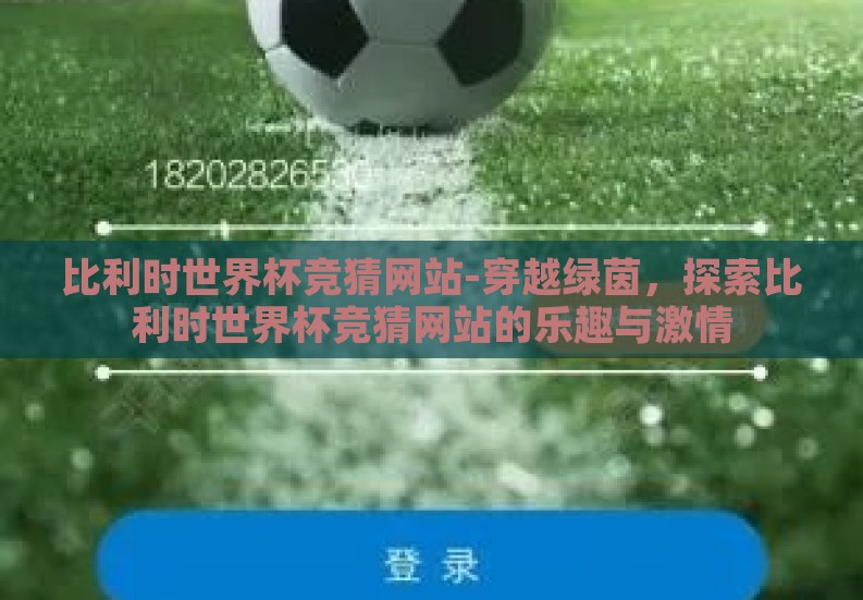 比利时世界杯竞猜网站-穿越绿茵，探索比利时世界杯竞猜网站的乐趣与激情