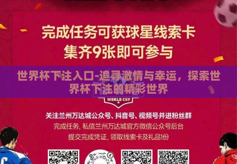 世界杯下注入口-追寻激情与幸运，探索世界杯下注的精彩世界