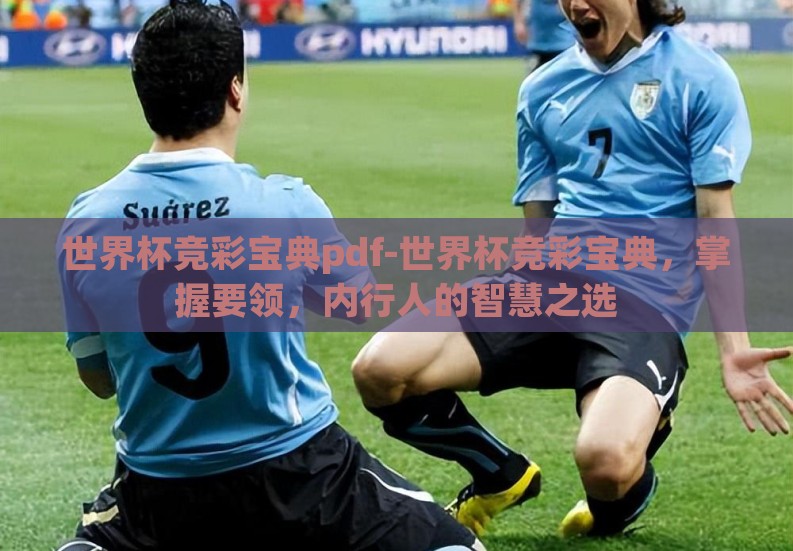 世界杯竞彩宝典pdf-世界杯竞彩宝典,掌握要领,内行人的智慧之选 世界杯竞彩宝典pdf-世界杯竞彩宝典,掌握要领,内行人的智慧之选