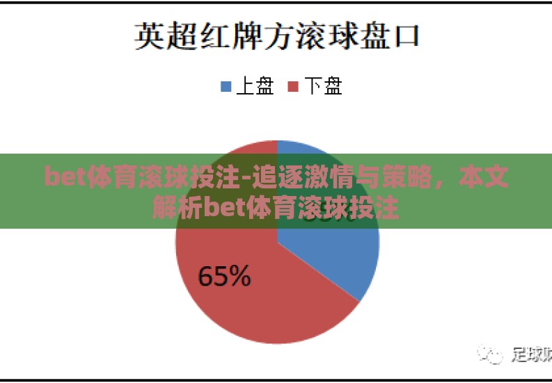 bet体育滚球投注-追逐激情与策略，本文解析bet体育滚球投注
