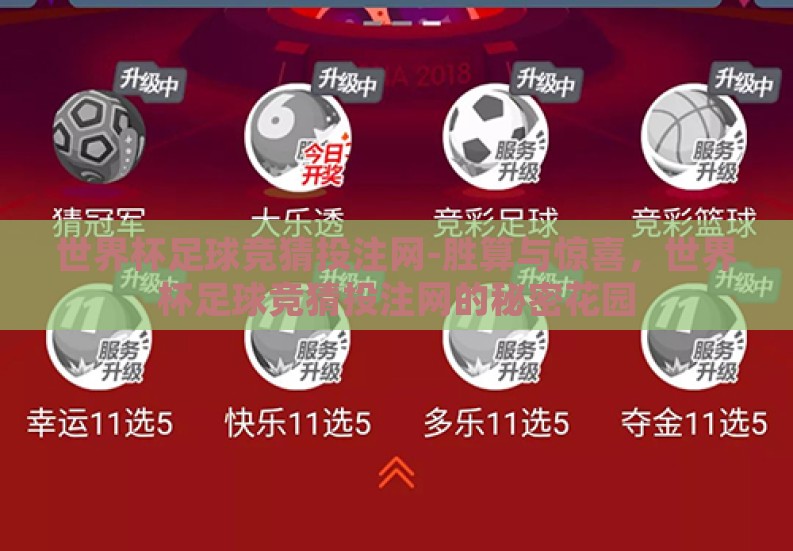 世界杯足球竞猜投注网-胜算与惊喜，世界杯足球竞猜投注网的秘密花园