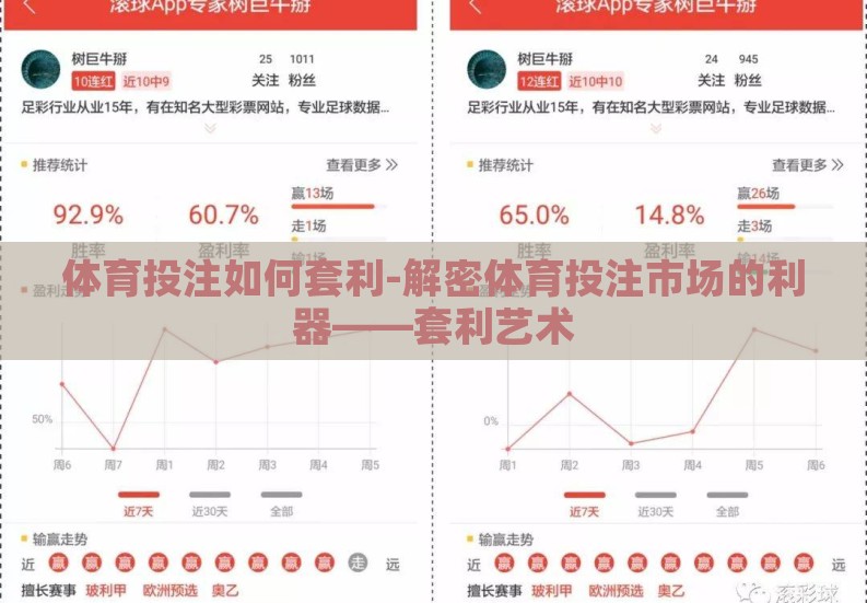 体育投注如何套利-解密体育投注市场的利器——套利艺术