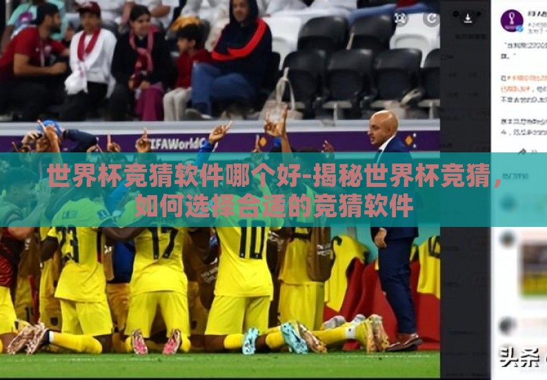 世界杯竞猜软件哪个好-揭秘世界杯竞猜,如何选择合适的竞猜软件 世界杯竞猜软件哪个好-揭秘世界杯竞猜,如何选择合适的竞猜软件