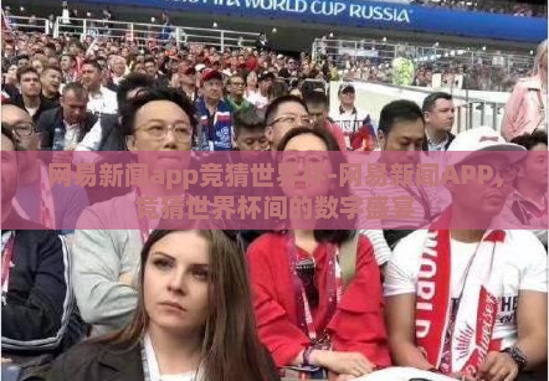 网易新闻app竞猜世界杯-网易新闻APP，竞猜世界杯间的数字盛宴