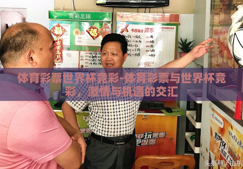 体育彩票世界杯竞彩-体育彩票与世界杯竞彩，激情与机遇的交汇