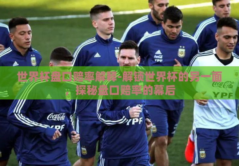 世界杯盘口赔率解释-解锁世界杯的另一面，探秘盘口赔率的幕后
