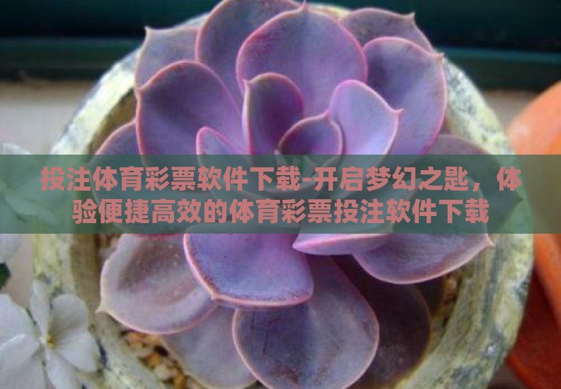投注体育彩票软件下载-开启梦幻之匙，体验便捷高效的体育彩票投注软件下载