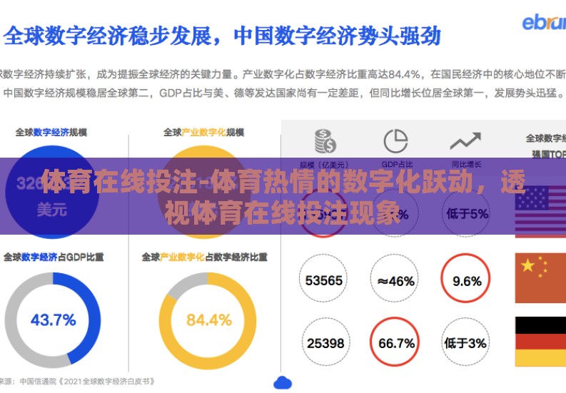 体育在线投注-体育热情的数字化跃动，透视体育在线投注现象