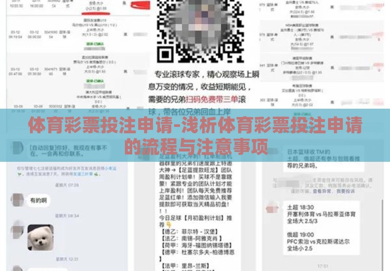 体育彩票投注申请-浅析体育彩票投注申请的流程与注意事项