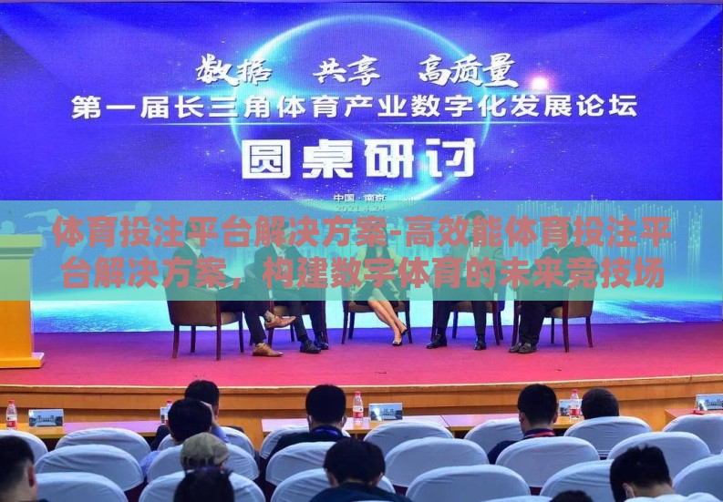 体育投注平台解决方案-高效能体育投注平台解决方案，构建数字体育的未来竞技场