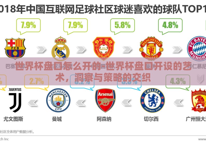 世界杯盘口怎么开的-世界杯盘口开设的艺术，洞察与策略的交织